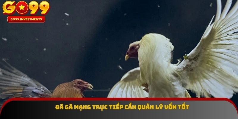 Đá gà mạng trực tiếp cần quản lý vốn tốt
