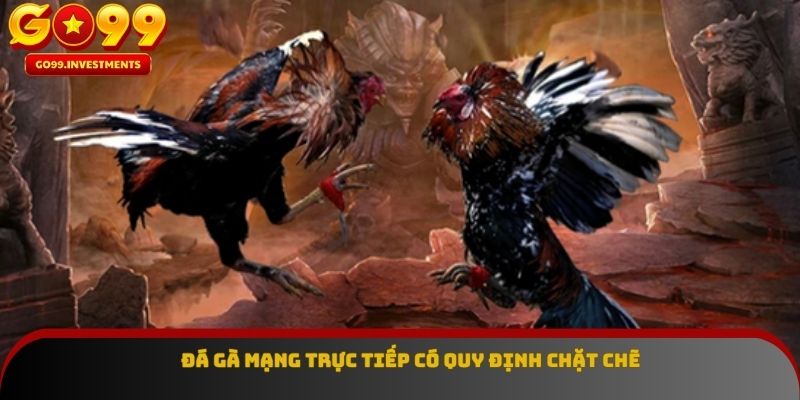 Đá gà mạng trực tiếp có quy định chặt chẽ