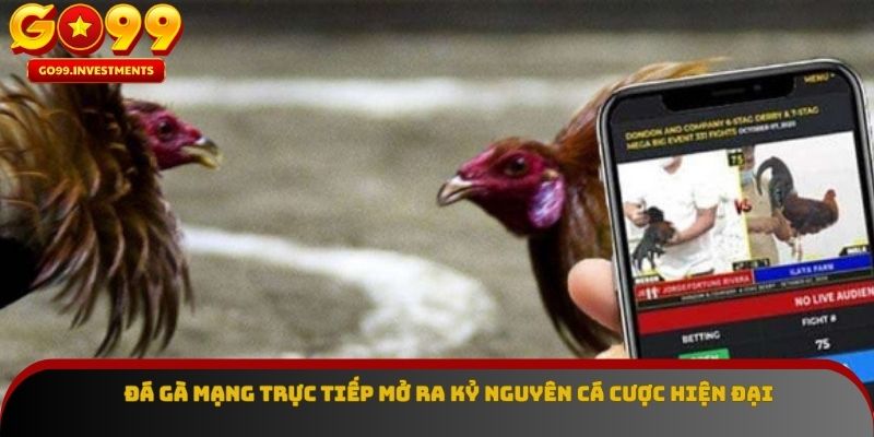 Đá gà mạng trực tiếp