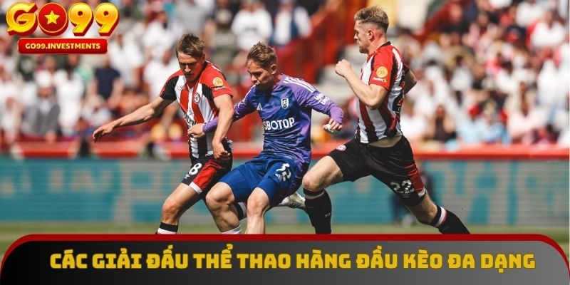Các giải đấu thể thao hàng đầu với kèo đa dạng